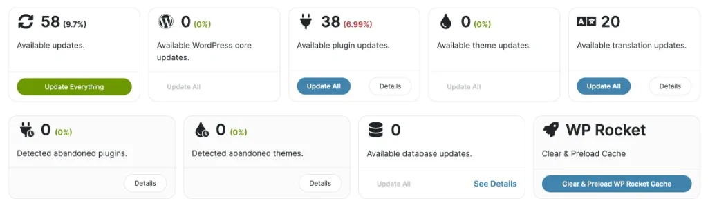Tableau de bord : mises à jour WordPress, extensions, thèmes, traductions, éléments abandonnés et cache WP Rocket